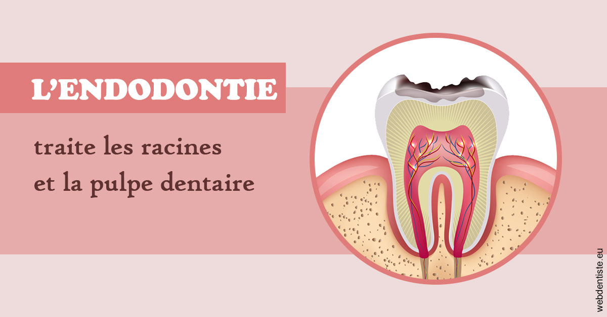 https://selarl-du-docteur-franck-wolff.chirurgiens-dentistes.fr/L'endodontie 2