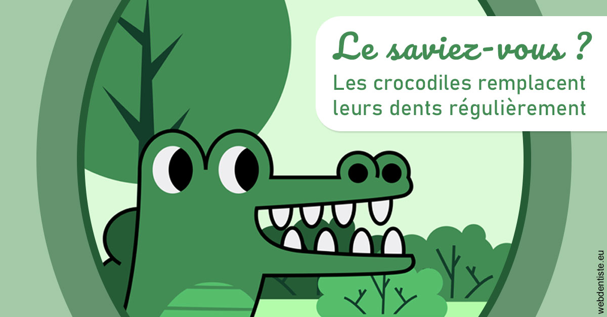 https://selarl-du-docteur-franck-wolff.chirurgiens-dentistes.fr/Crocodiles 2